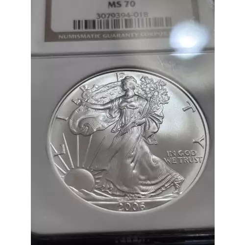 2006 W BURNISHED SILVER EAGLE