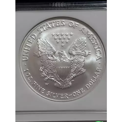 2006 W BURNISHED SILVER EAGLE (2)