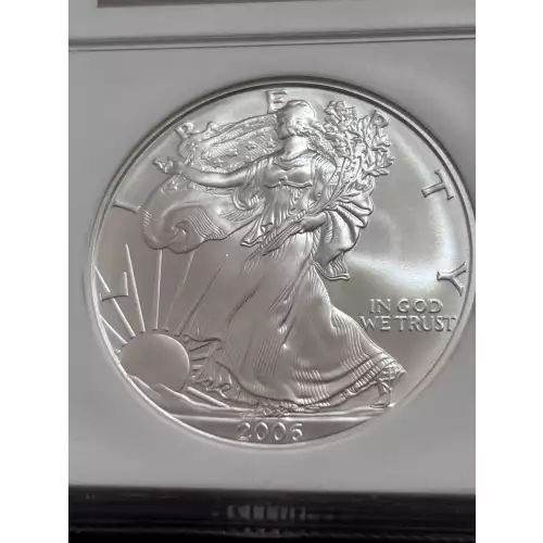 2006 W BURNISHED SILVER EAGLE (3)
