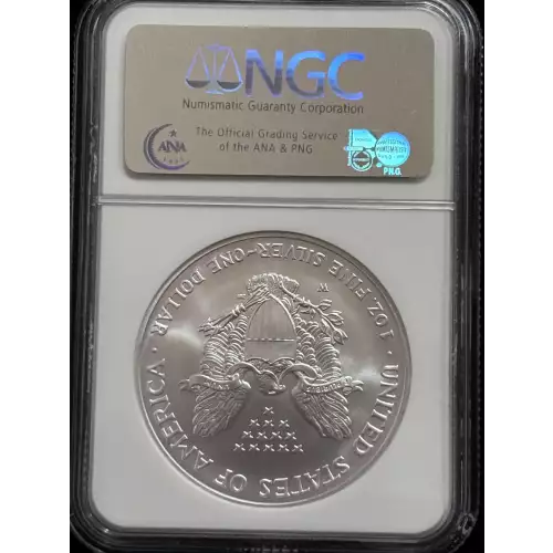 2006 W BURNISHED SILVER EAGLE (4)