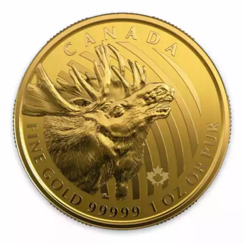 2019 $200 1 Oz 99.999% Pure Gold 