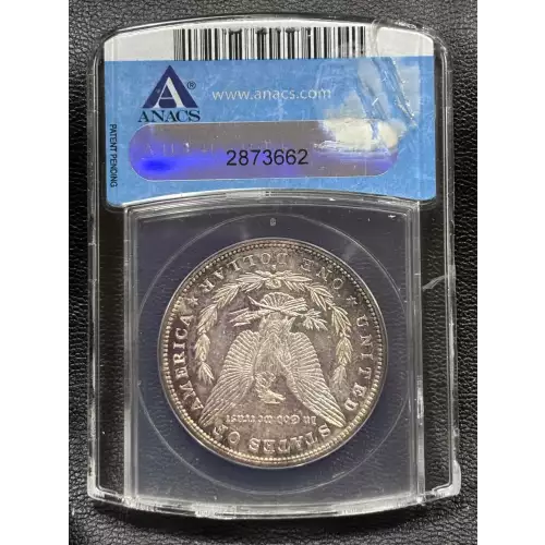 Morgan Silver Dollar (2)