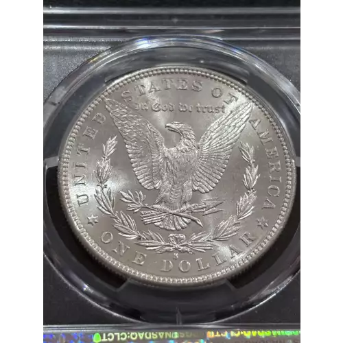 Morgan Silver Dollar (4)