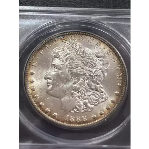 Morgan Silver Dollar (4)