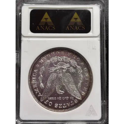 Morgan Silver Dollar (2)