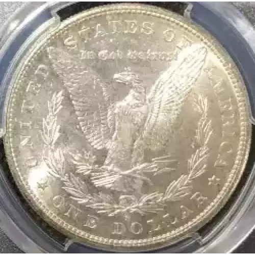 Morgan Silver Dollar