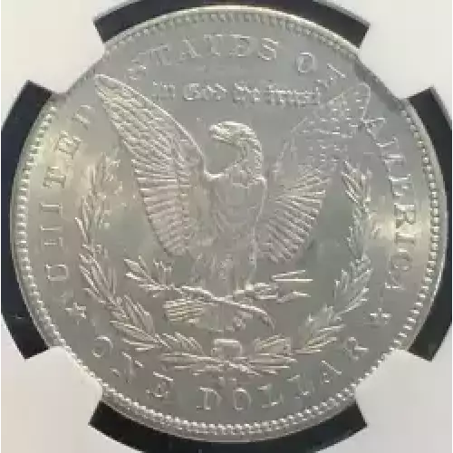 Morgan Silver Dollar (4)