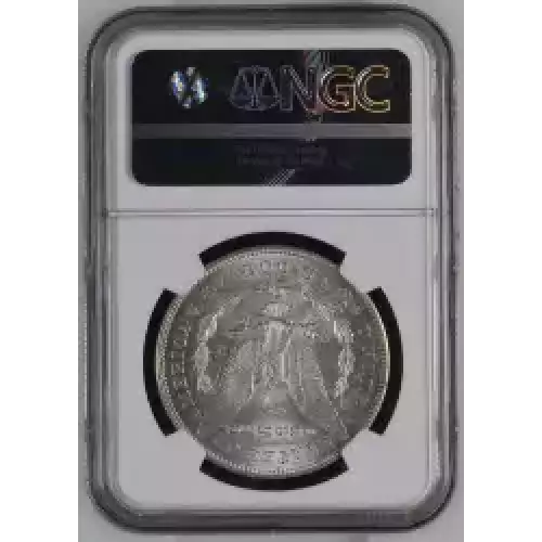 Morgan Silver Dollar (5)