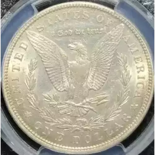 Morgan Silver Dollar (4)