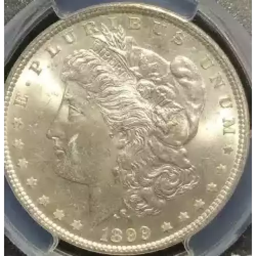 Morgan Silver Dollar