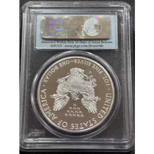 Silver Eagles (2)