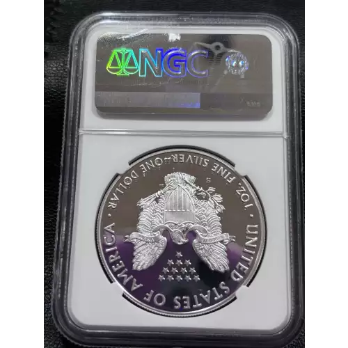 Silver Eagles (2)