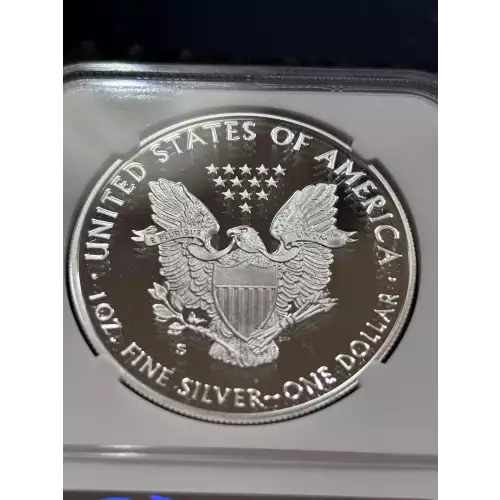 Silver Eagles (4)