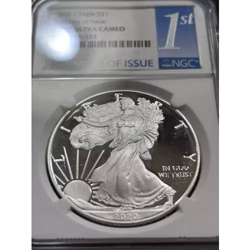 Silver Eagles (5)