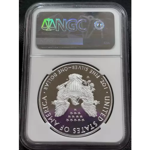 Silver Eagles (2)