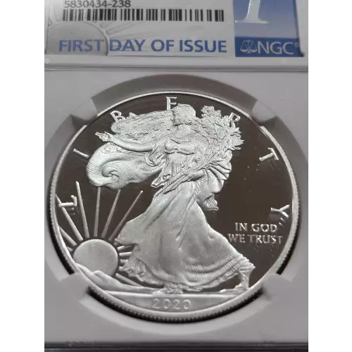 Silver Eagles (5)
