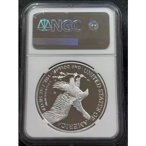Silver Eagles (2)