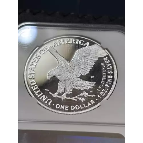 Silver Eagles (5)